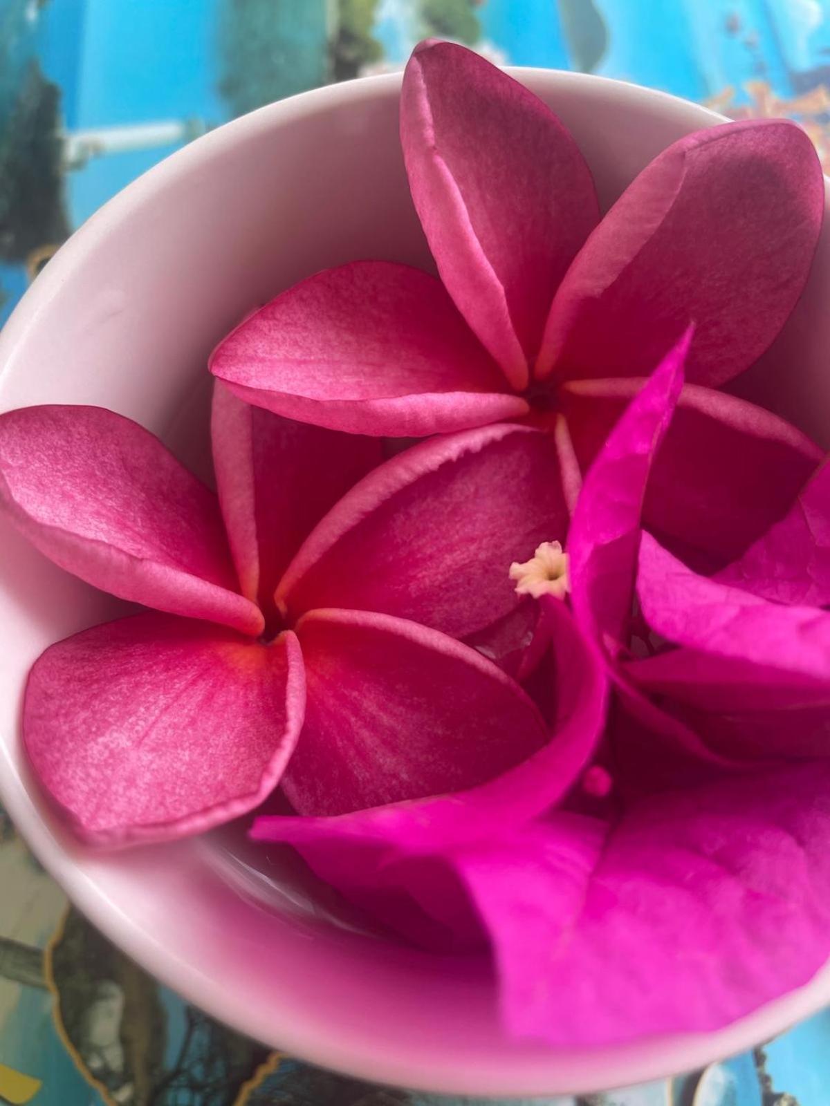 Studio Hibiscus Anse Des Rochers Saint Francois Kültér fotó